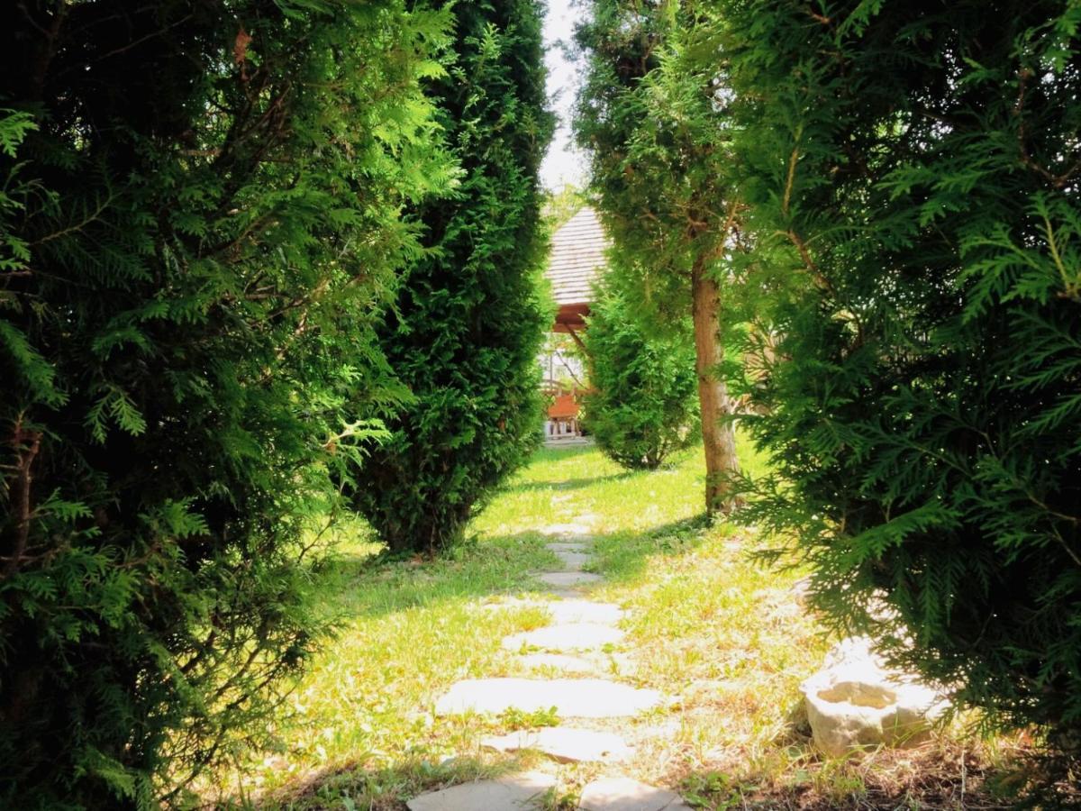 فيلا Homy Family House برانْ المظهر الخارجي الصورة